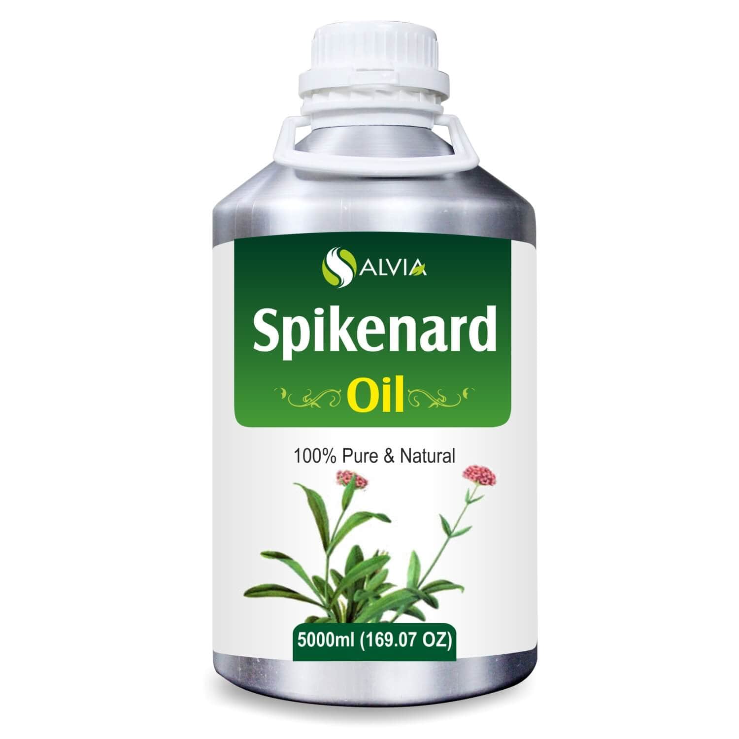 Salvia Natural Essential Oils 5000ml Spikenard Oil (Nardostachys jatamansi) Natural Essential Oil Anti Inflammatory Reduce Stress Relief Muscle & Pain, Skincare, Best For Aromatherapy Salvia Natural Essential Oils 5000ml Spikenard Oil (Nardostachys jatamansi) Natural Essential Oil Anti Inflammatory Reduce Stress Relief Muscle & Pain, Skincare, Best For Aromatherapy